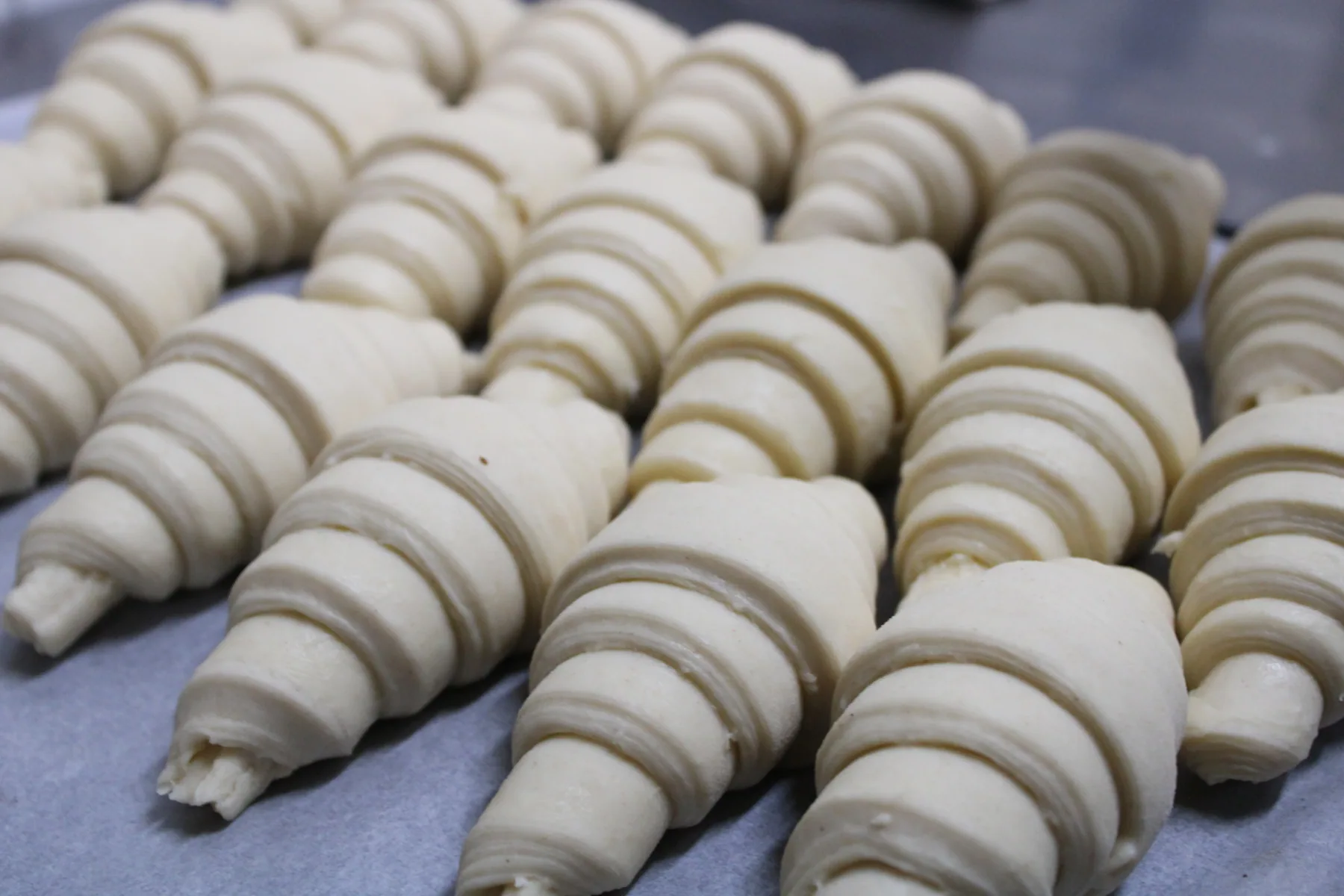 Croissants artesanales preparados en el obrador